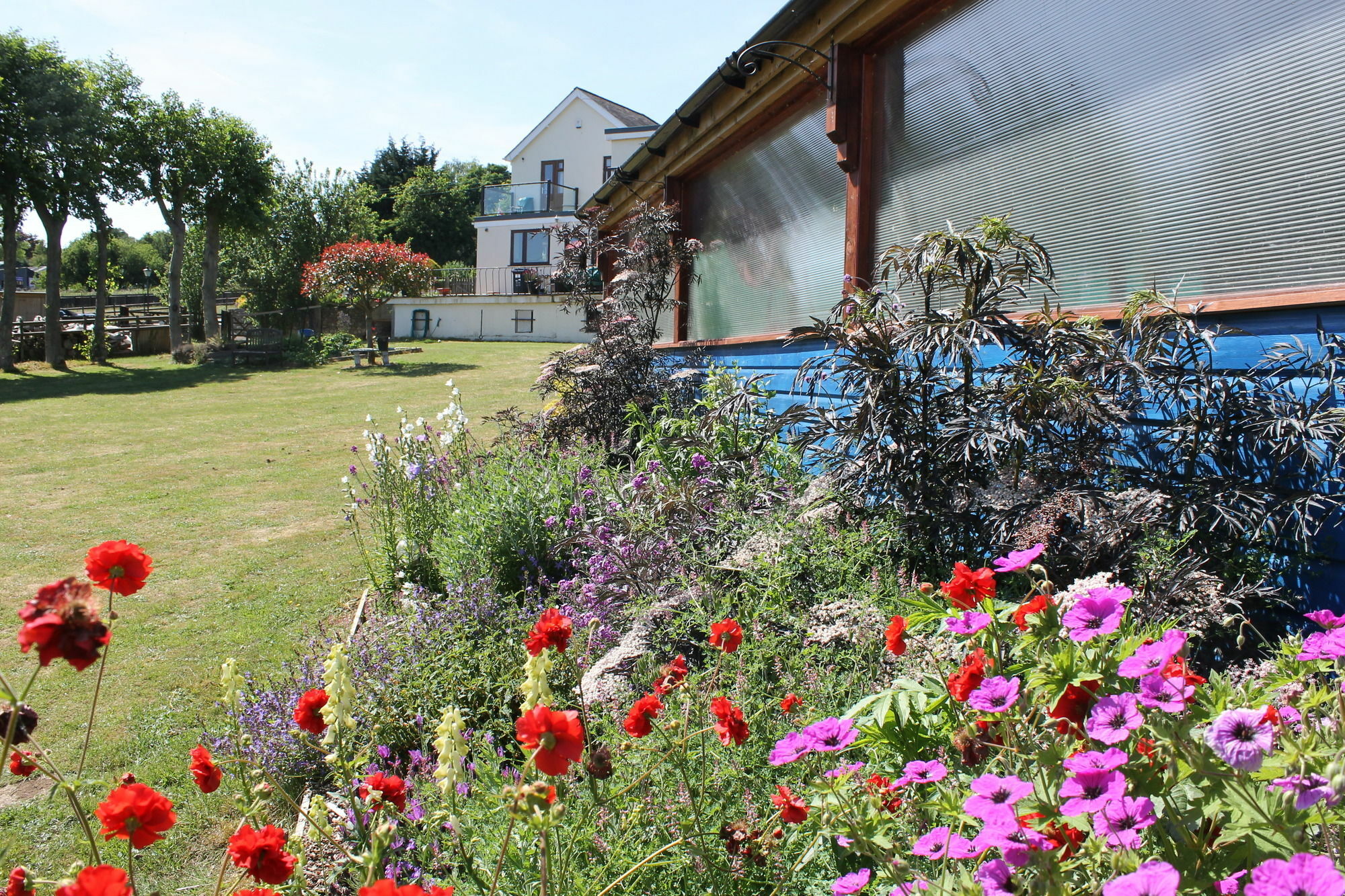 Homelea Bed And Breakfast Canterbury Kültér fotó